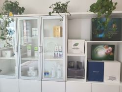 -爱莎扁平疣·汗管瘤·斑痣中心