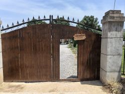 -DORA kids 朵拉儿童摄影花园店