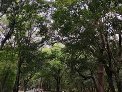 -北陵公园