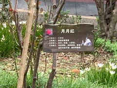 -李时珍纪念馆