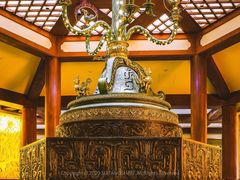 -金乌温泉公园