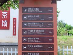 -茯茶镇