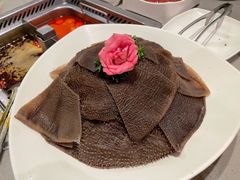 -海底捞火锅(太阳宫凯德mall店)