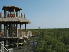 -北海金海湾红树林生态旅游区