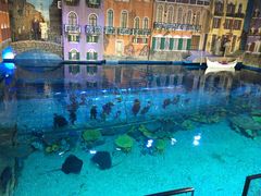 -华夏文旅海洋公园