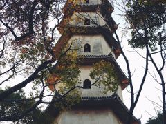 -江心屿景区