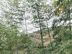 -一江春水·杭帮臻宴(三台山店)