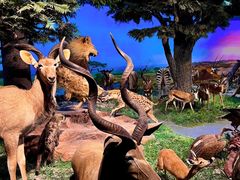 -国家自然博物馆