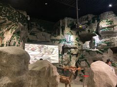 -房山世界地质公园博物馆