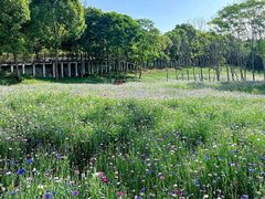 -仙海旅游度假区