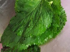 -叶婆婆豆浆馍馍