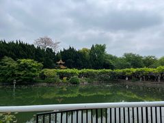 -嘉定紫藤园