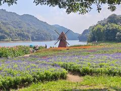 -广州市石门国家森林公园
