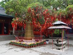 -国恩寺