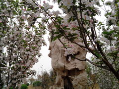 -山东理工大学