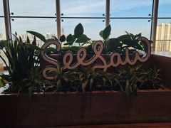 -Seesaw Coffee(朝阳大悦城店)