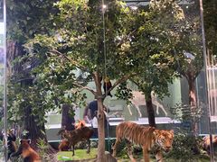 -国家自然博物馆