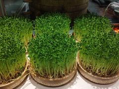 -千稻剁椒大鱼头(CityOn熙地港店)