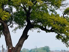 -乌龙涧铁道铁轨景