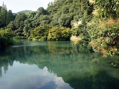 DSC06207-九溪烟树