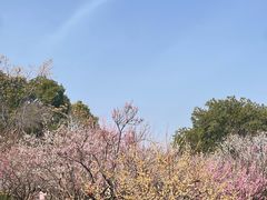 -无锡梅园公园