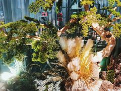 -渝乡辣婆婆·川菜 水煮鱼(中山西路店)