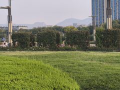 -泉城广场