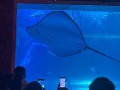 -太平洋海底世界