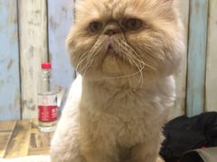 -小时光咖啡馆(开森度假森林店)