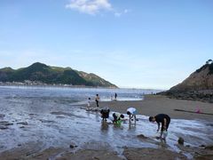 -北岐滩涂