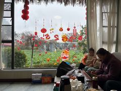 -洪湖家庭农场·团建·露营·会议