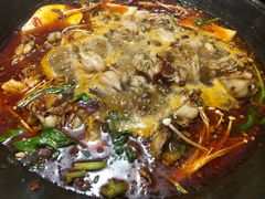 -老天桥蛙炉火锅(姑苏总店)