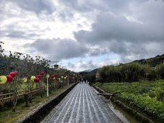 -福建土楼(南靖)景区
