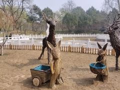 -丰台花园