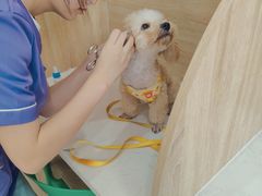 -恒幸动物医院·急重症转诊中心·神经内外科·CT核磁