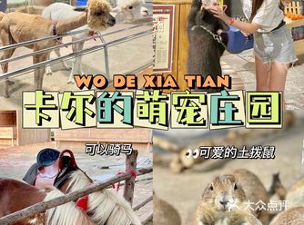 济南周末遛娃好去处|室内动物园