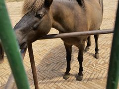-秦皇岛野生动物园
