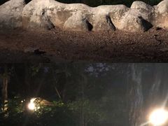 -清迈夜间动物园