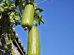 -于家石头村景区