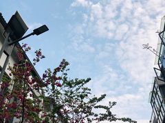-哈吱喂丽江火塘·牦牛火锅(五一街店)