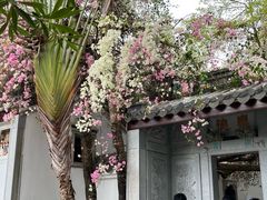 -深圳国际园林花卉博览园