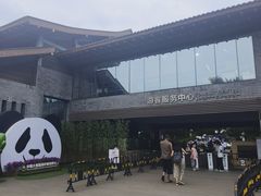 -都江堰中华大熊猫苑