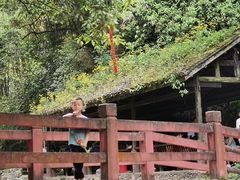 -华蓥山天意谷景区