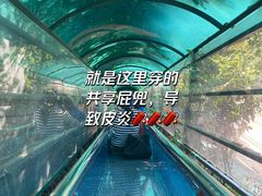 -海南槟榔谷黎苗文化旅游区