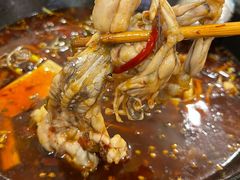 -鸿顺老铁锅美蛙鱼府(解放碑店)