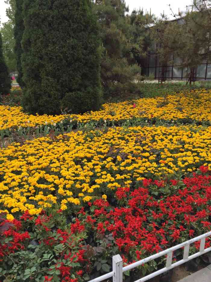 保定植物園燈展