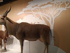 -陕西自然博物馆