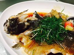 清蒸笋壳鱼-皇朝尊会(龙之梦大酒店)