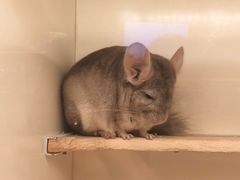 -龙猫仔乐园(惠福东路店)