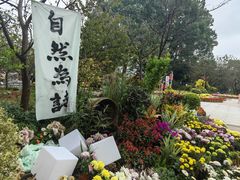 -南山植物园